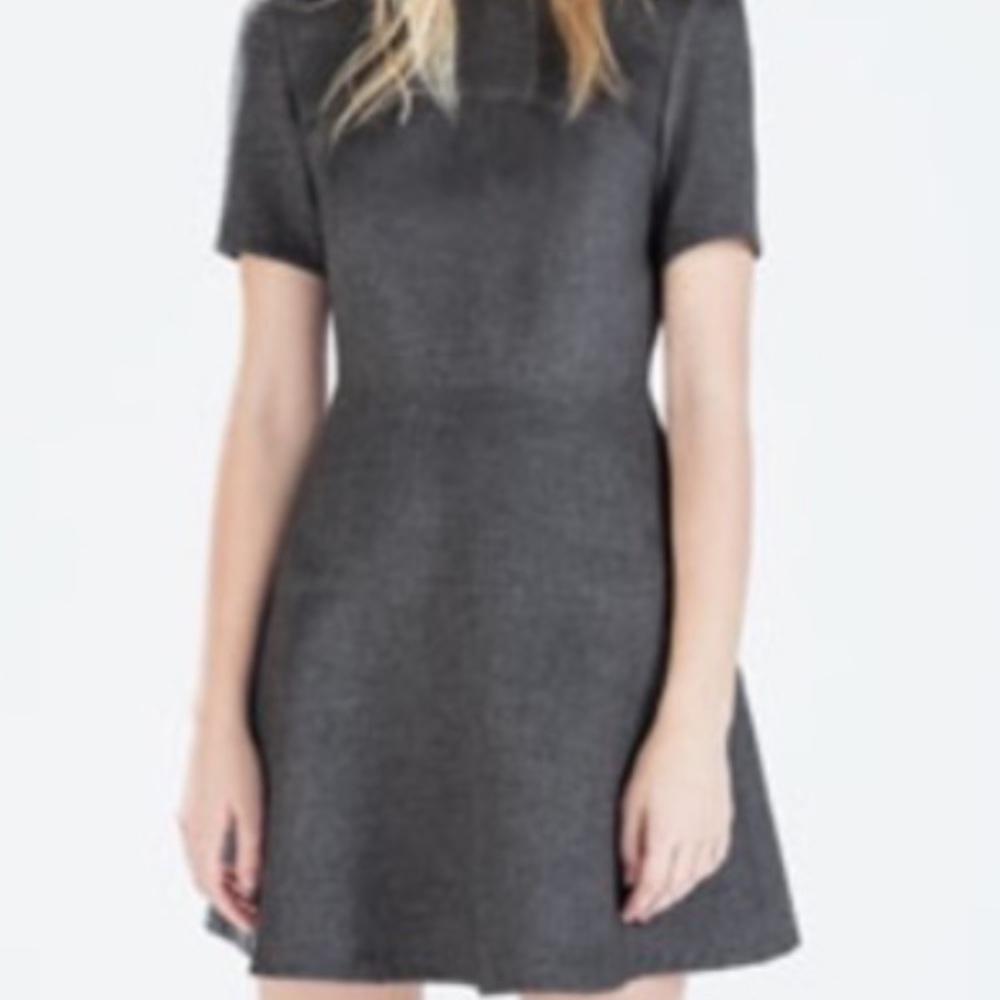 Zara soft gray fit and flare structured dress